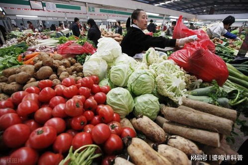 蔬菜比肉还贵，到底是怎么回事——从种植端看原因